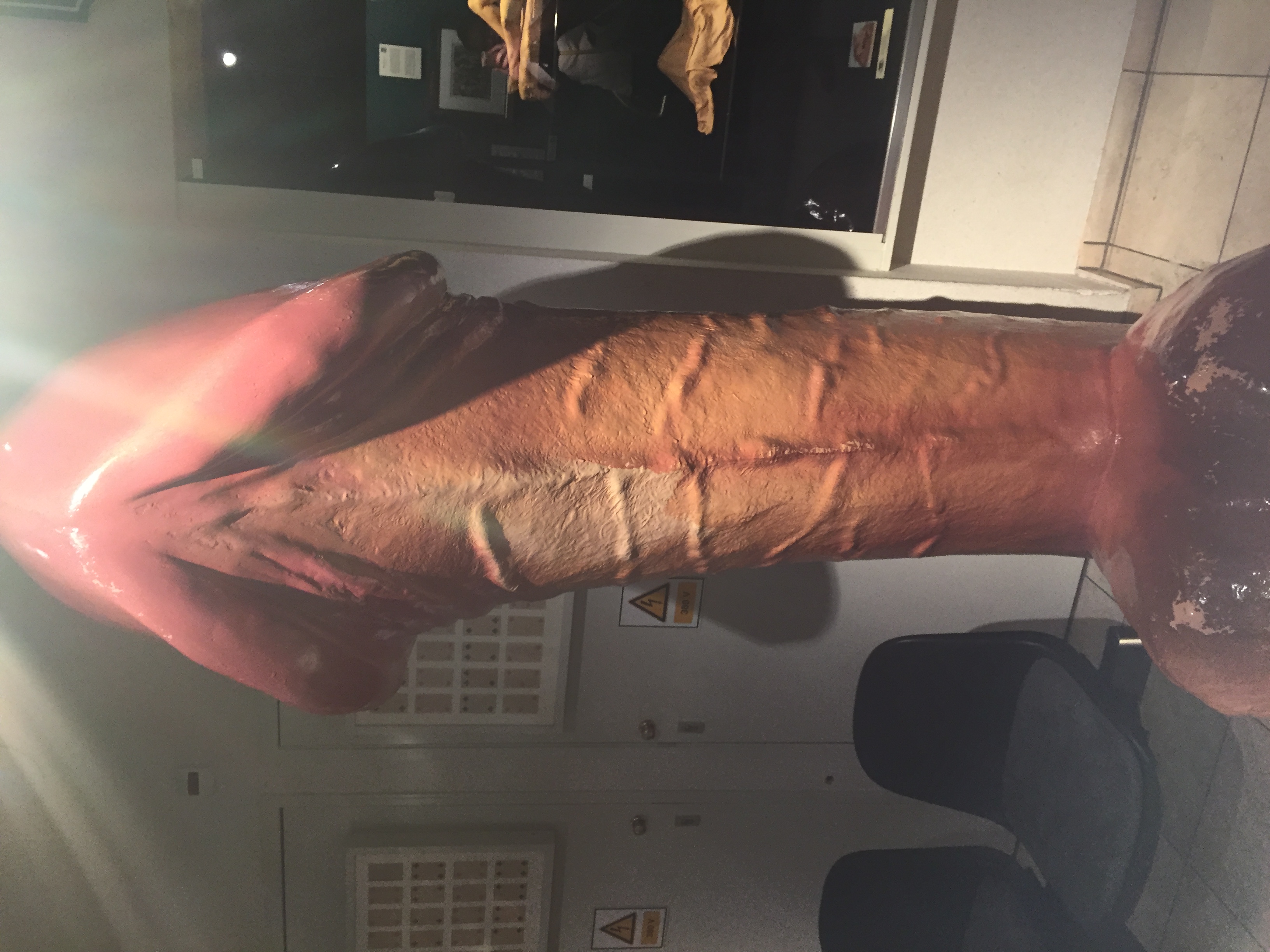 Amsterdam Sex Museum — Two for the Row'd